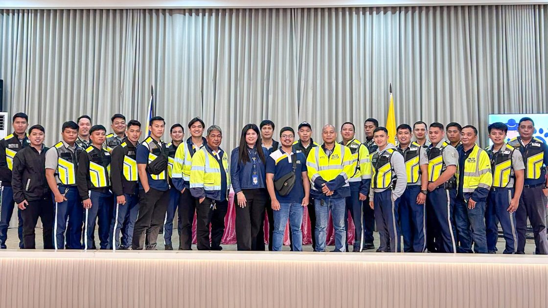 NLEX tells motorists not to stop for strays, launches rescue team